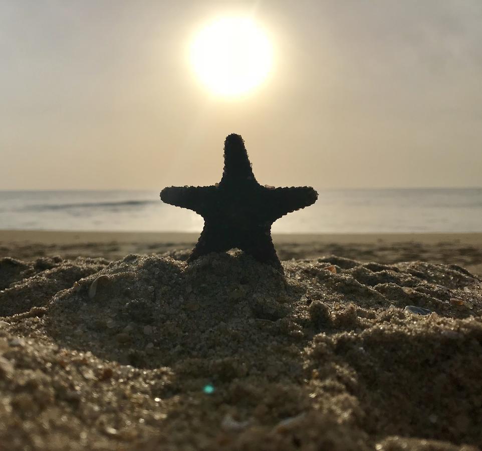 Starfish Beach Bungalows Аругам-Бей Екстер'єр фото